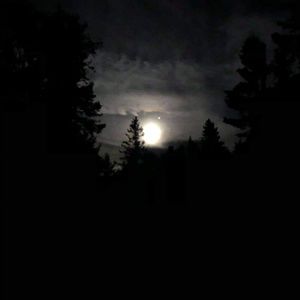 Meet your Posher, Isobel